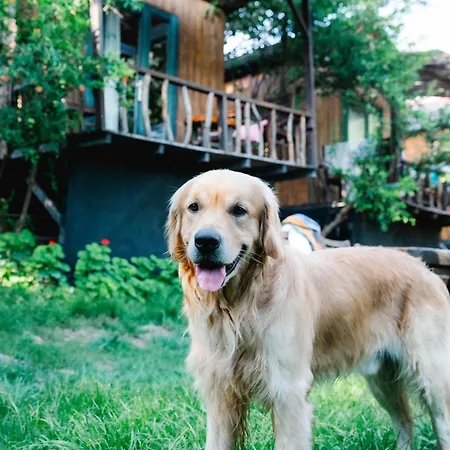 Üdülőközpont Kaplumbaga *