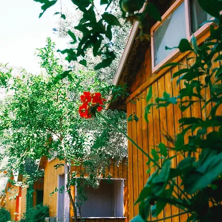 Kaplumbaga Üdülőközpont Fethiye