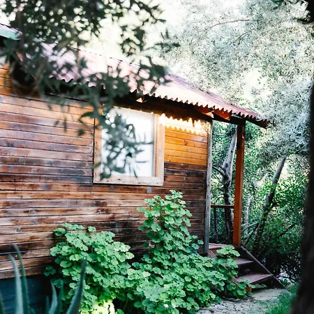 Kaplumbaga * Fethiye