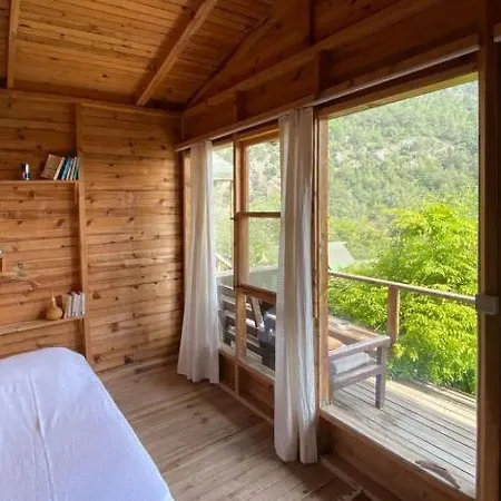 Kaplumbaga * Fethiye